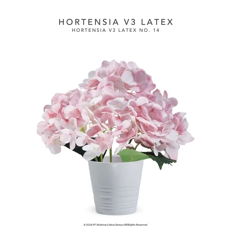 HORTENSIA V3 LATEX - No. 14