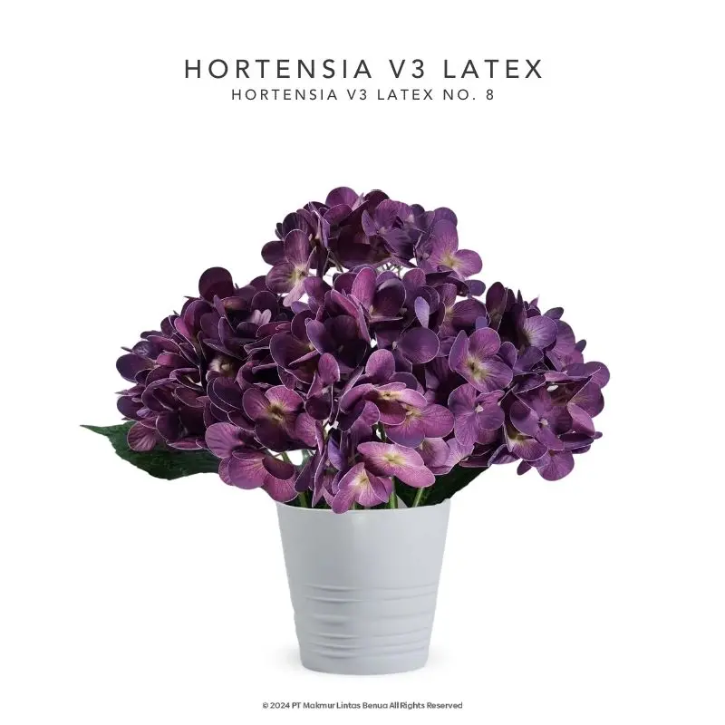 HORTENSIA V3 LATEX - No. 8