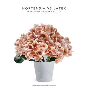 HORTENSIA V3 LATEX - No. 13