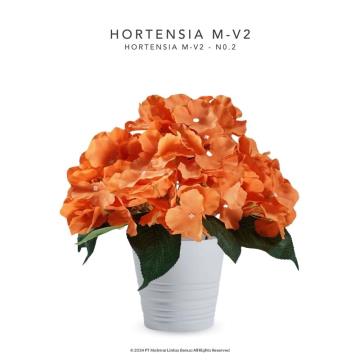 HORTENSIA M-V2 - No. 2