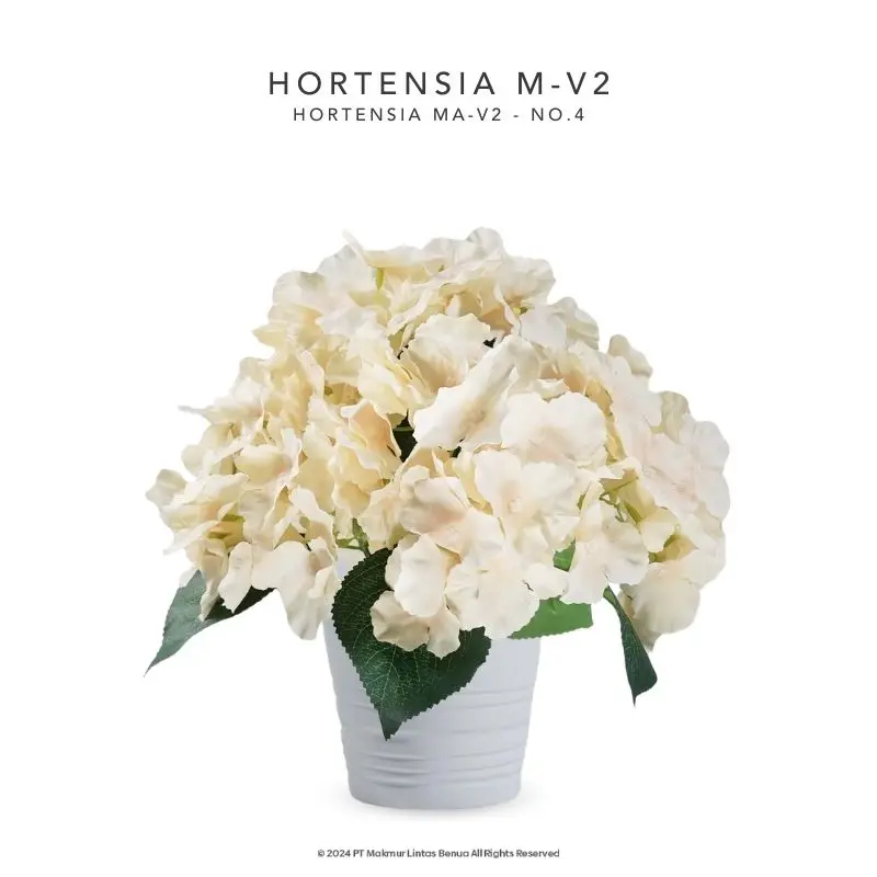 HORTENSIA M-V2 - No. 4
