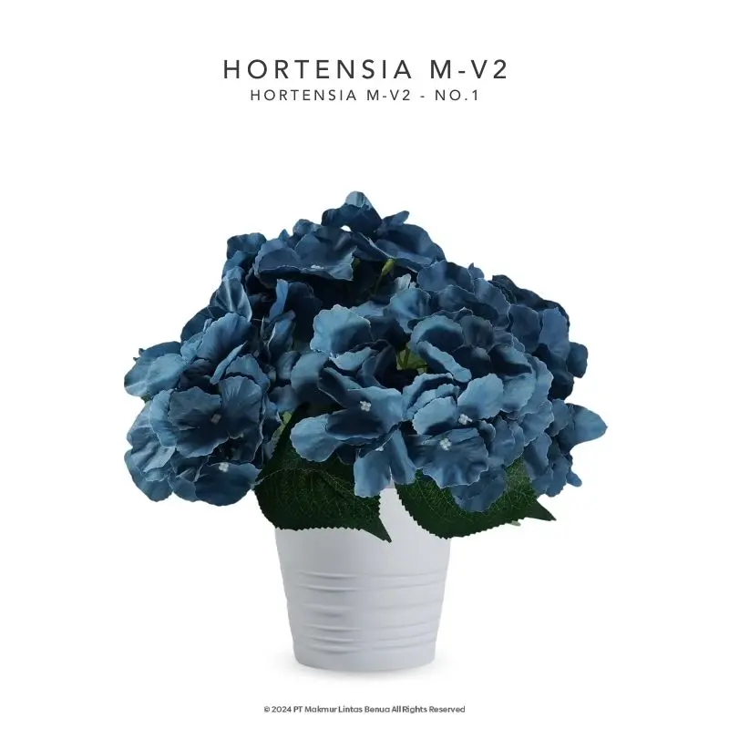 HORTENSIA M-V2 - No. 1