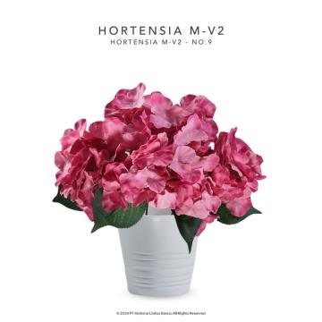 HORTENSIA M-V2 - No. 9