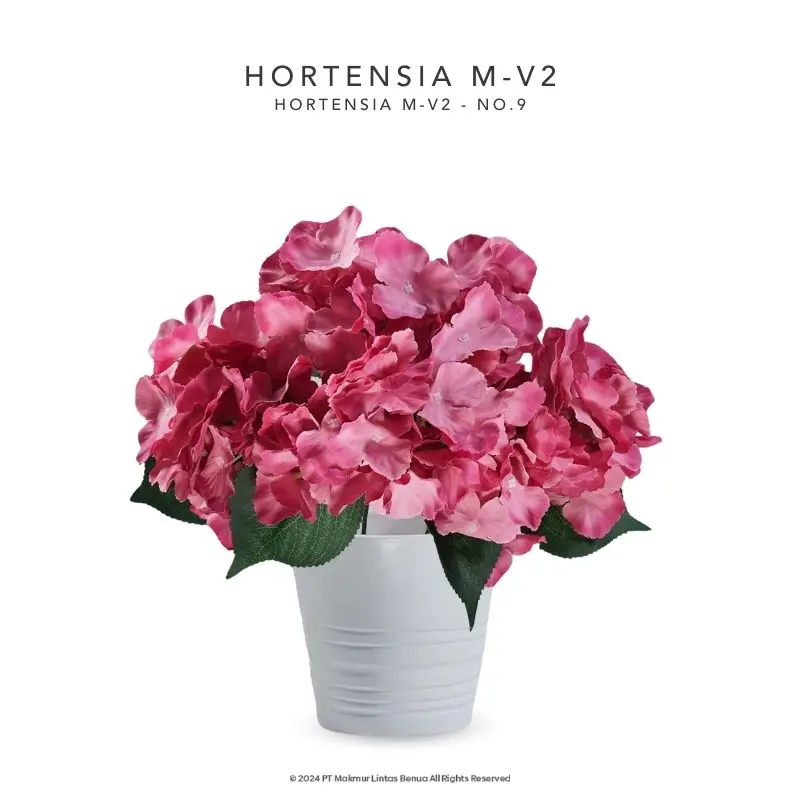 HORTENSIA M-V2 - No. 9