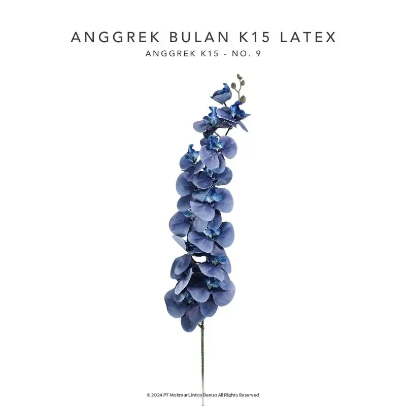 Anggrek Bulan K15 Latex - No. 9