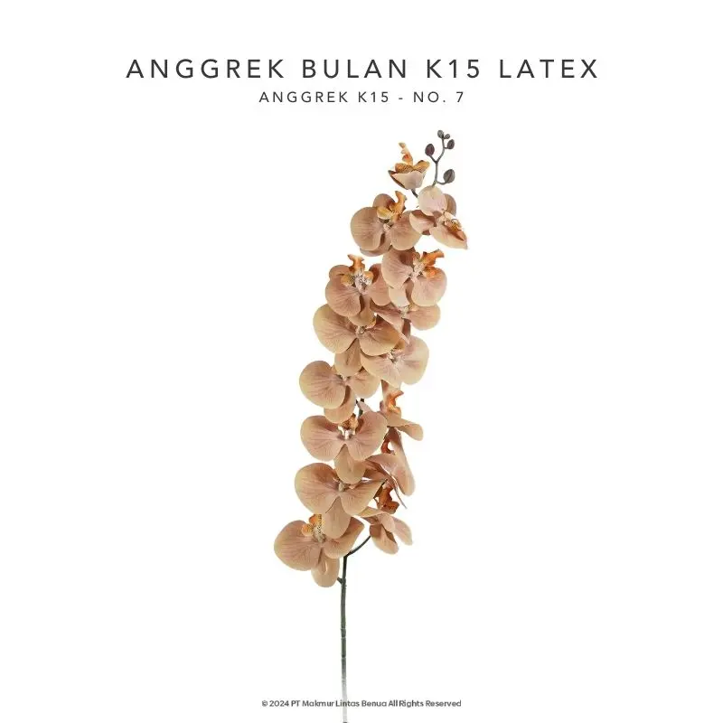 Anggrek Bulan K15 Latex - No. 7