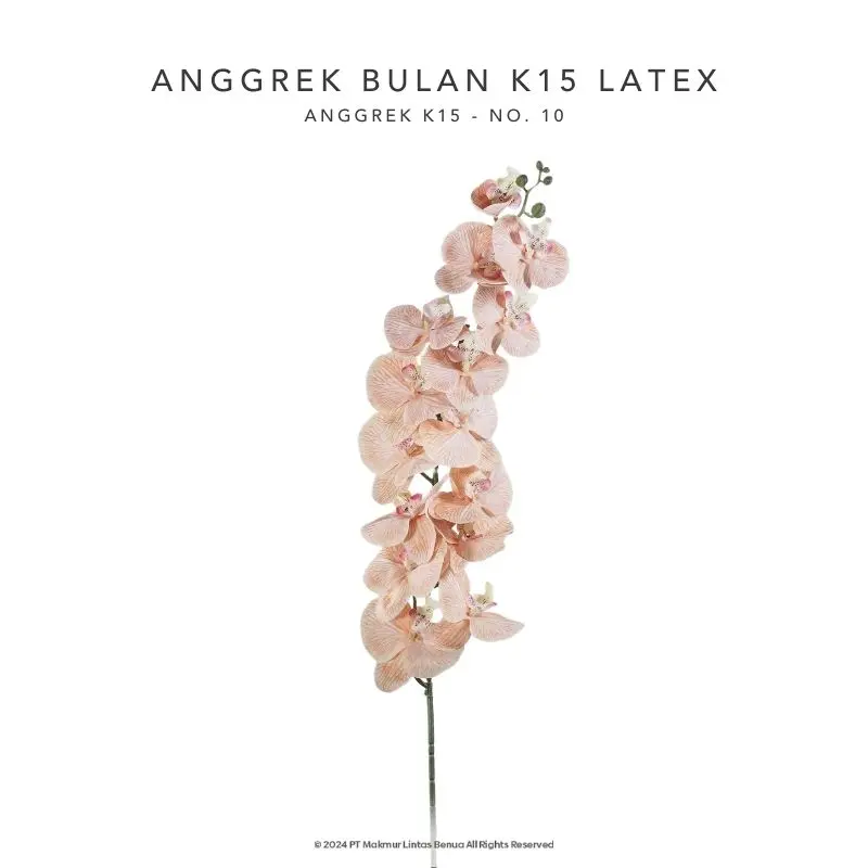 Anggrek Bulan K15 Latex - No. 10
