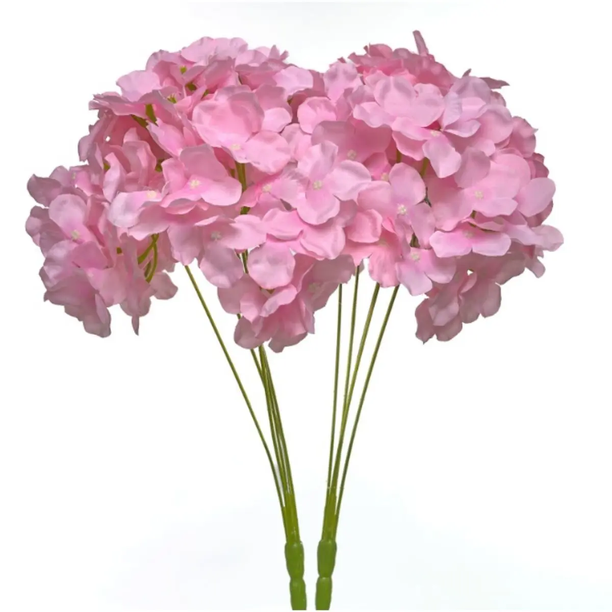 Hortensia HE (4)