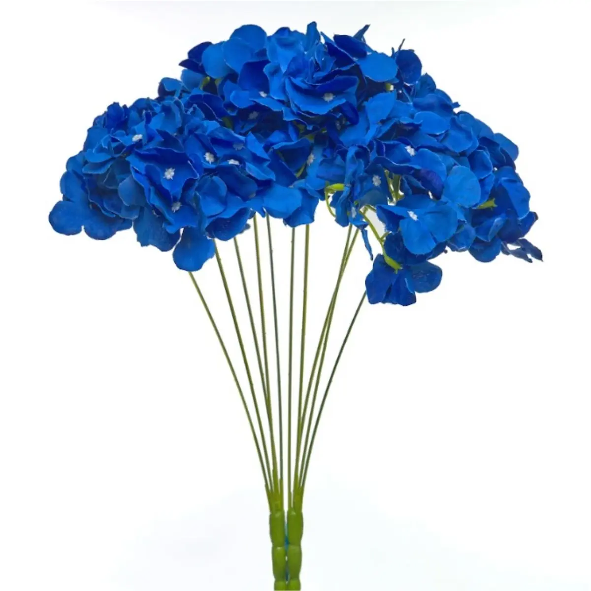 Hortensia HE (14)