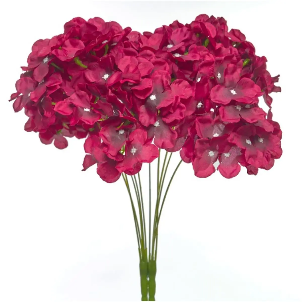 Hortensia HE (16)