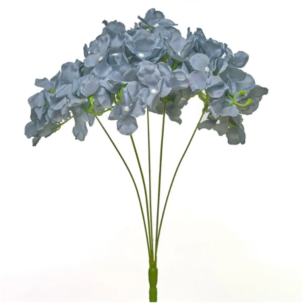 Hortensia HE (17)