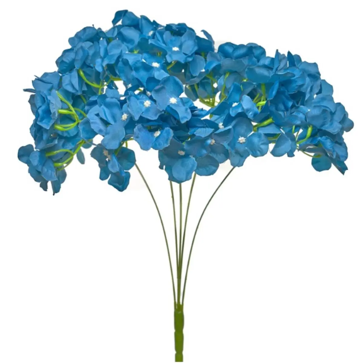 Hortensia HE (21)