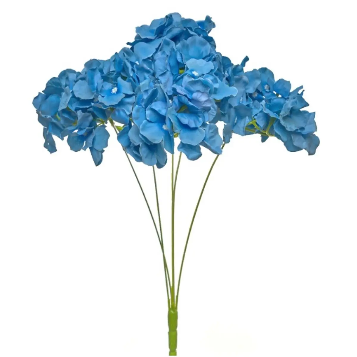 Hortensia HE (22)