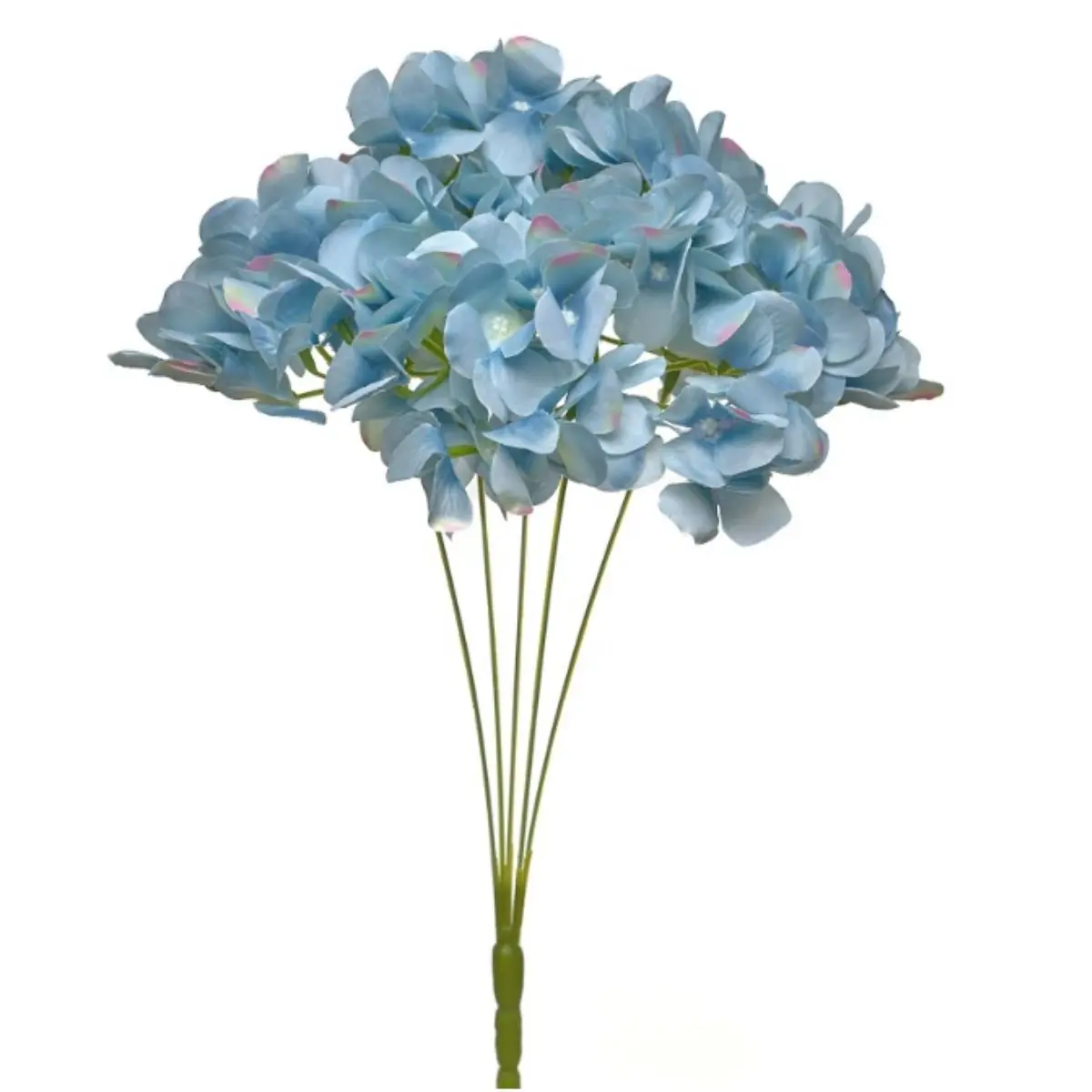 Hortensia HE (30)