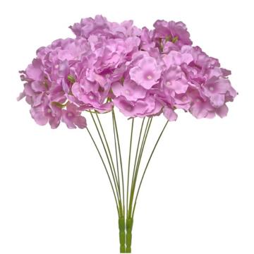 Hortensia HE (36)