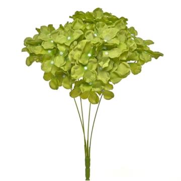 Hortensia HE (38)