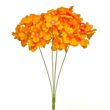 Hortensia HE (39)