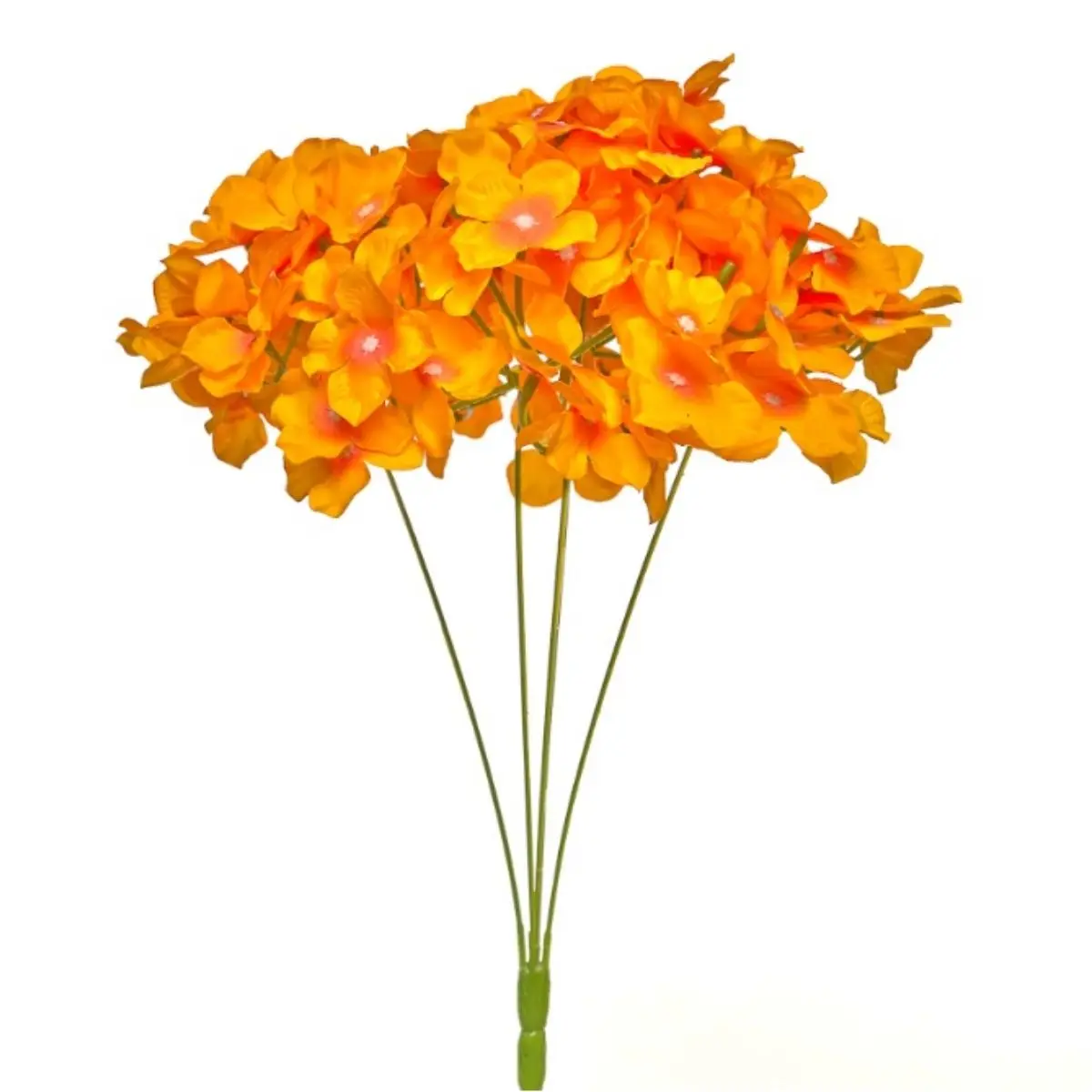 Hortensia HE (39)