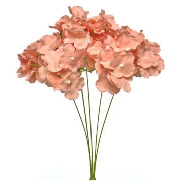 Hortensia HE K5 (40)