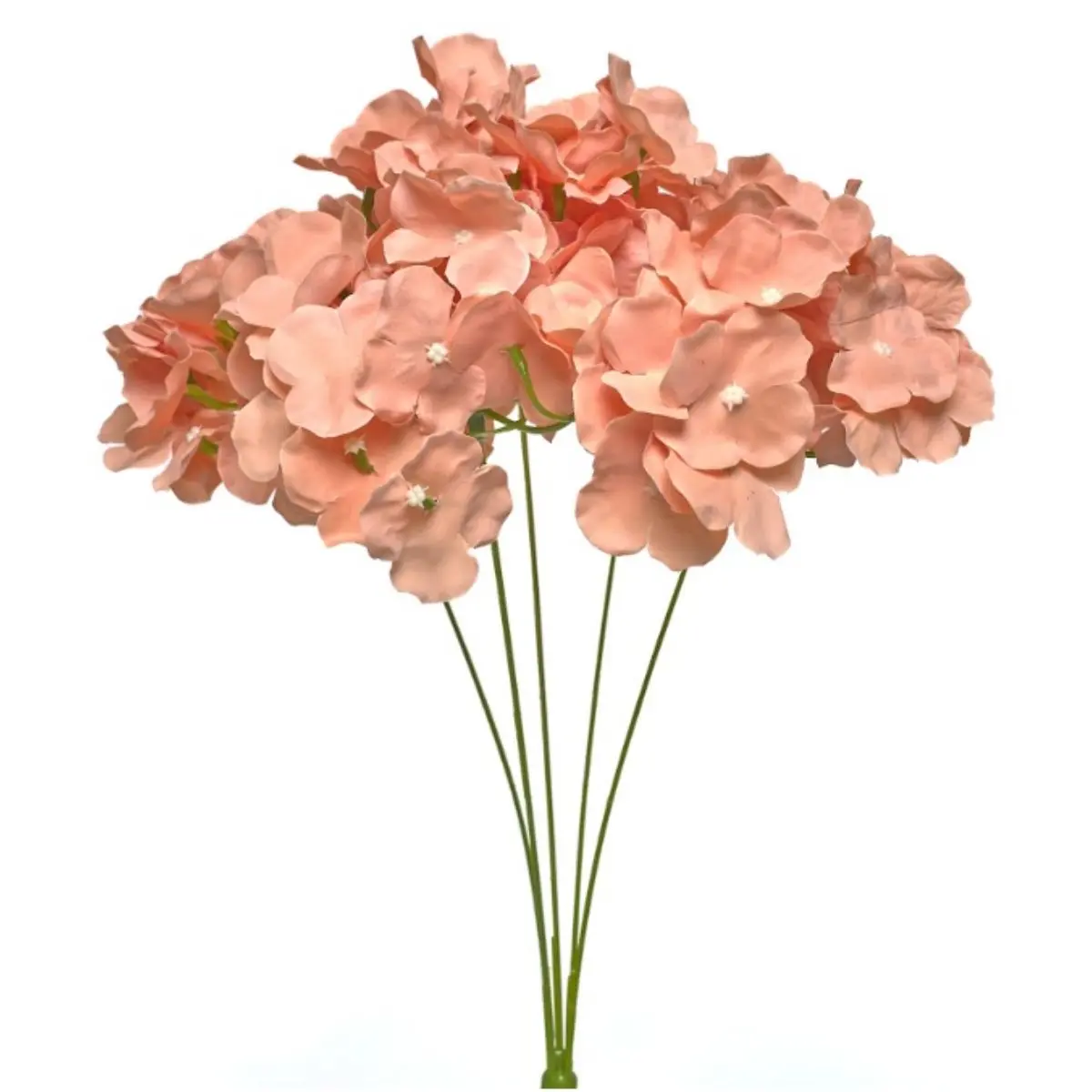 Hortensia HE K5 (40)
