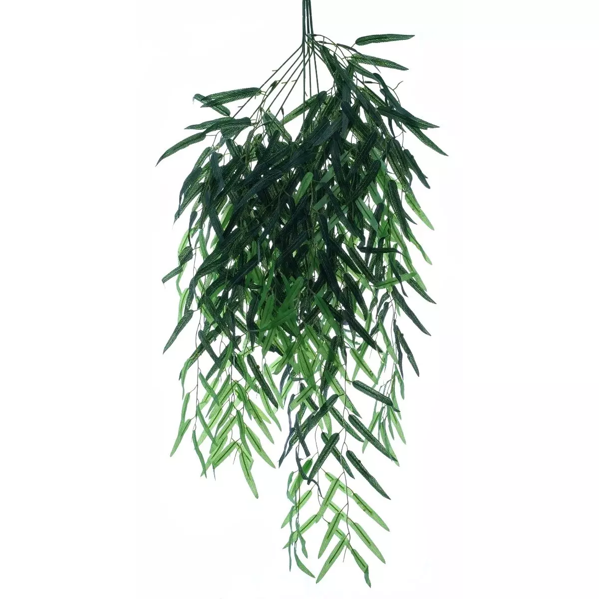 DAUN WILLOW LIANG LIU 1 METER