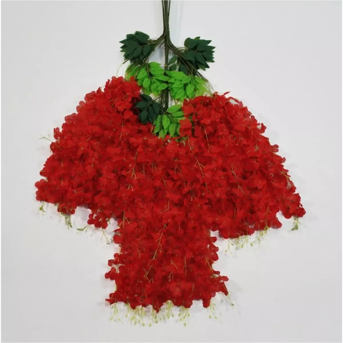 Wisteria Type M -  RED
