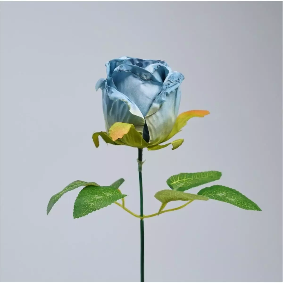 Rose Vintage K1 (2)