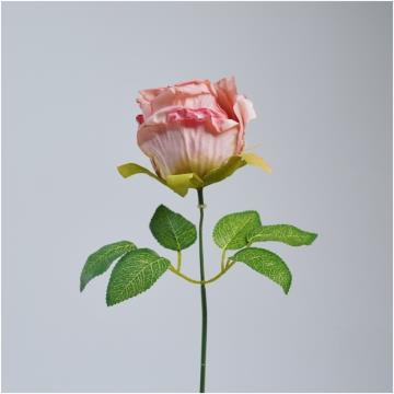 Rose Vintage K1 (3)