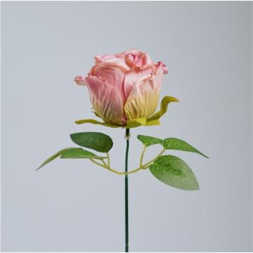 Rose Vintage K1 (7)