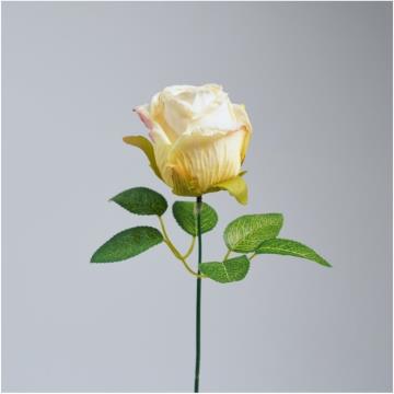 Rose Vintage K1 (8)
