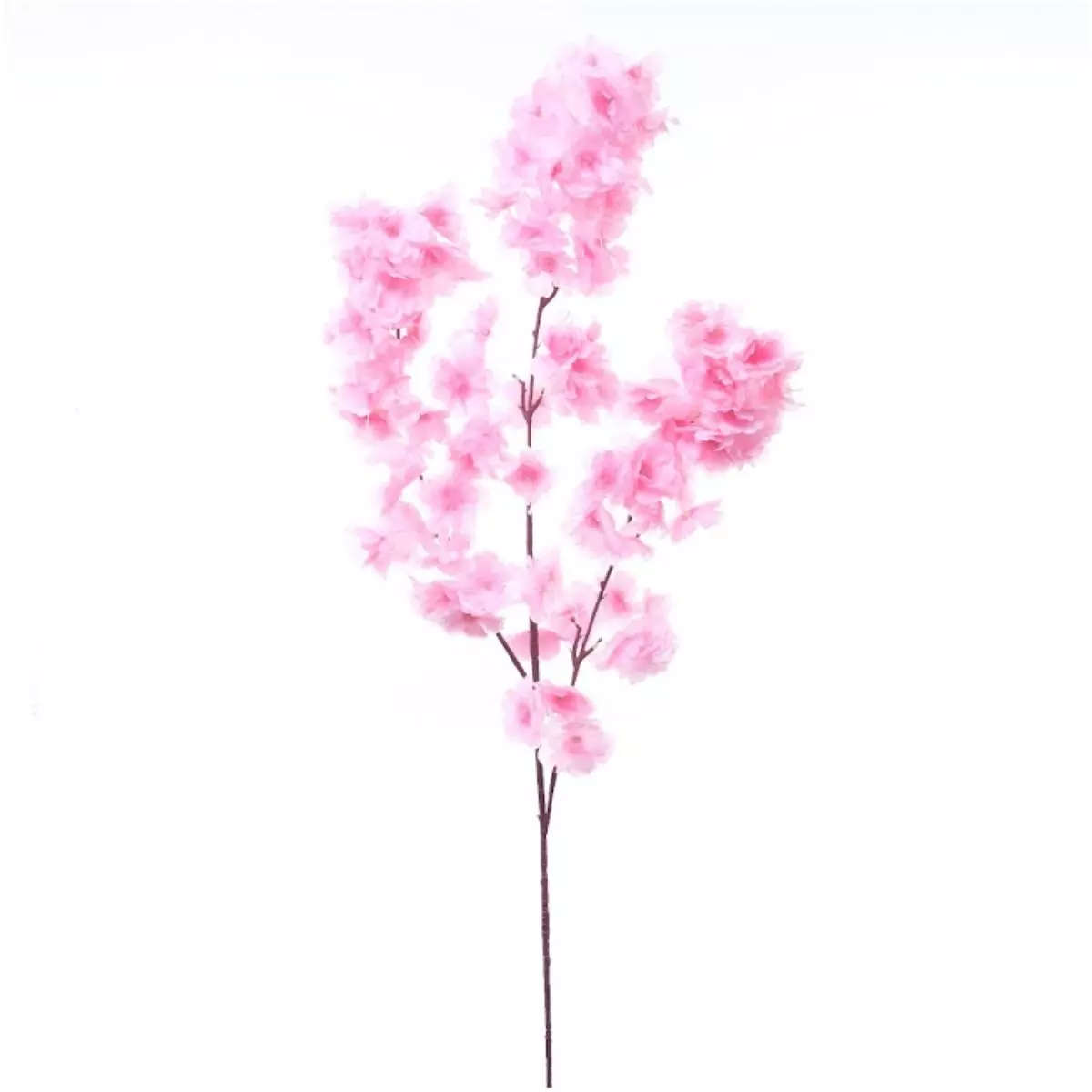 Cherry Blossom Pink