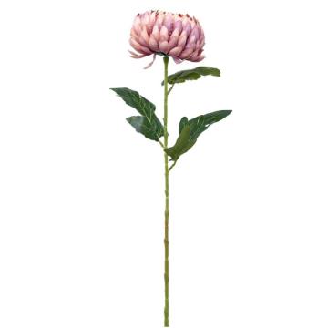 Krisan Jumbo - Dusty Pink