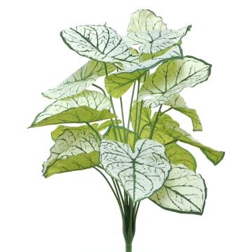 Daun Taman K18  No. 2