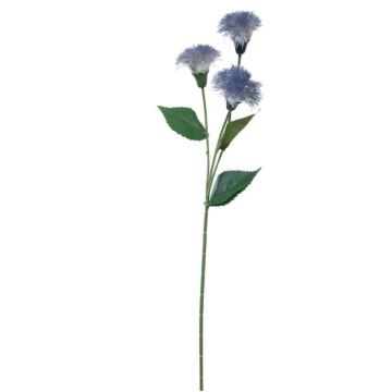 Dandelion Krisan - Biru