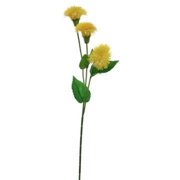 Dandelion Krisan - Kuning
