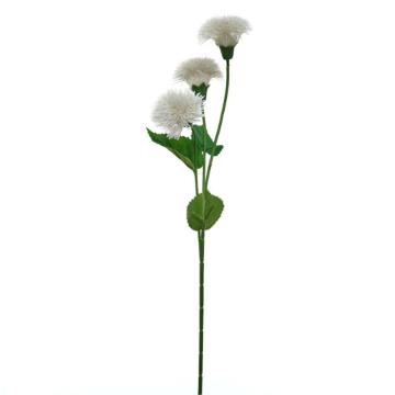 Dandelion Krisan - Putih
