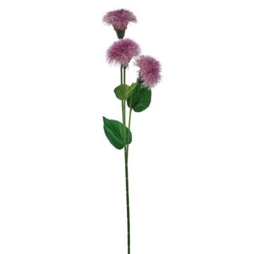 Dandelion Krisan - Ungu