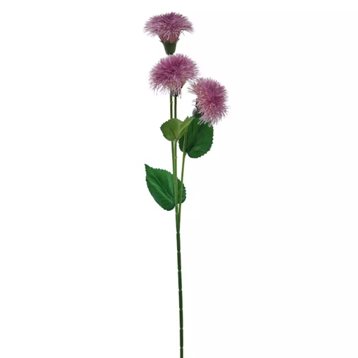 Dandelion Krisan - Ungu