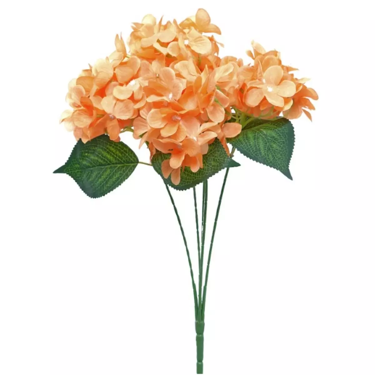 Hortensia Orange K5