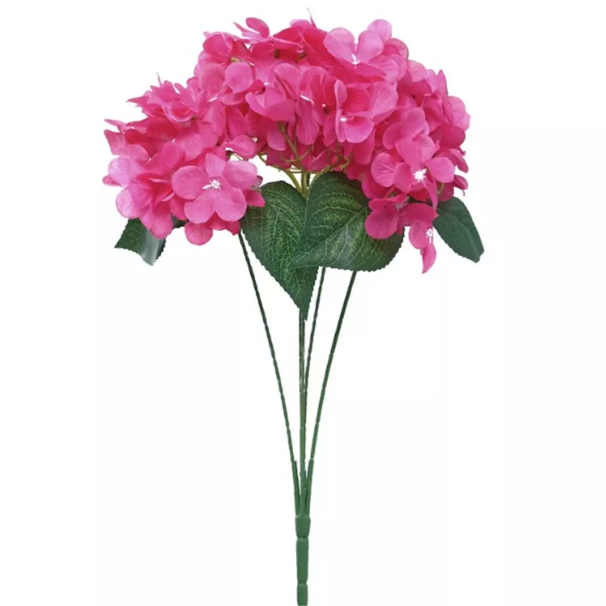 Hortensia Fushia K5