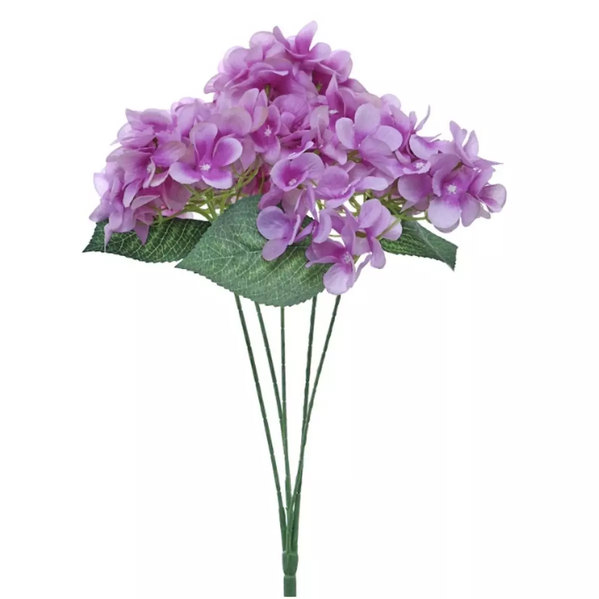 Hortensia Ungu K5
