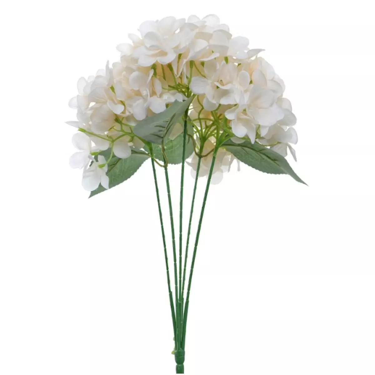 Hortensia Peach K5