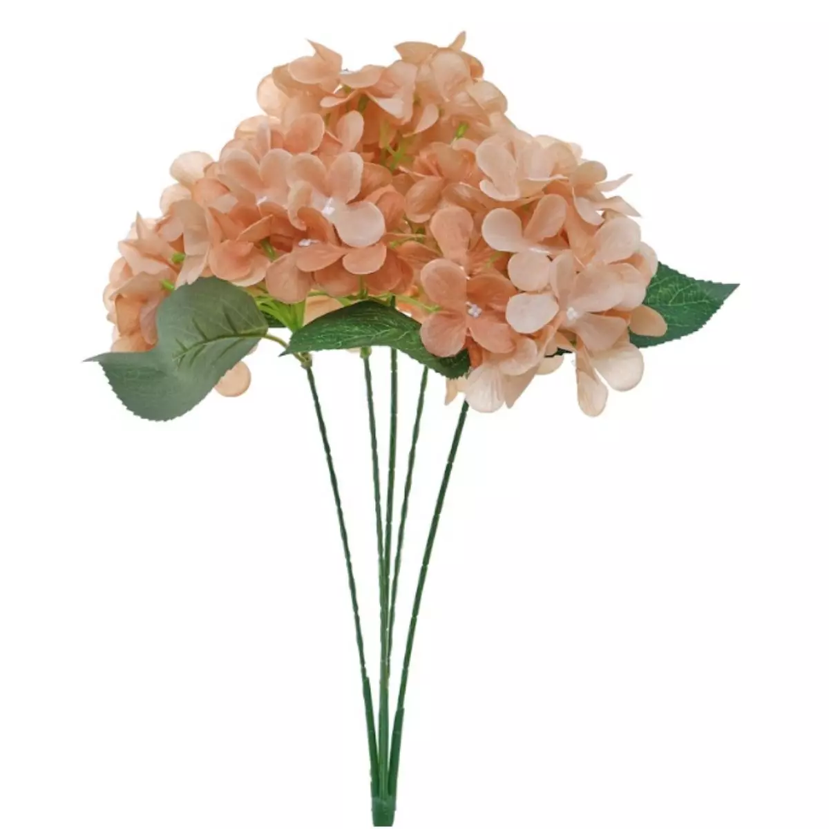 Hortensia Coklat K5