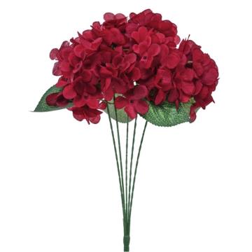 Hortensia Merah K5