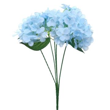 Hortensia Biru Muda K5