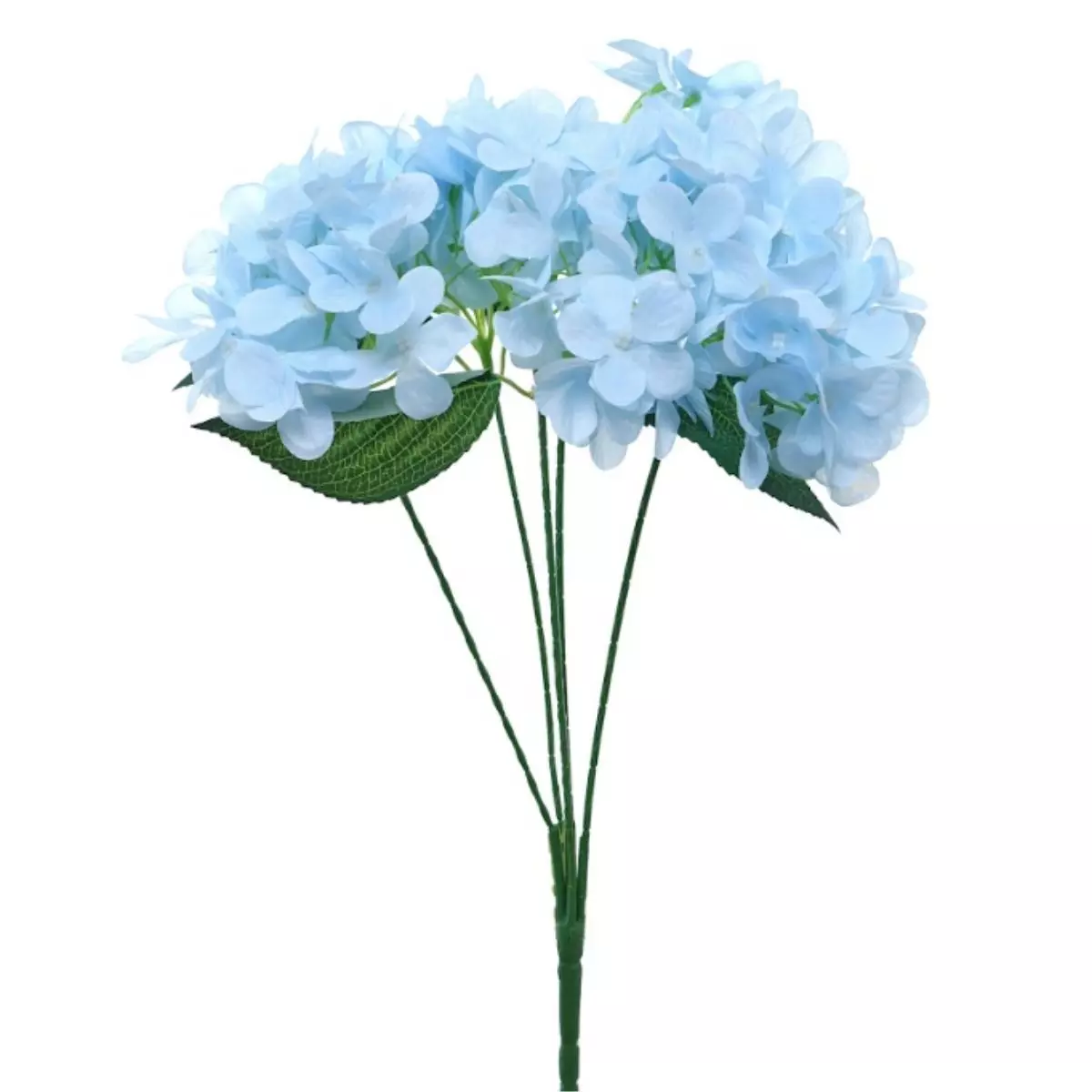 Hortensia Biru Muda K5