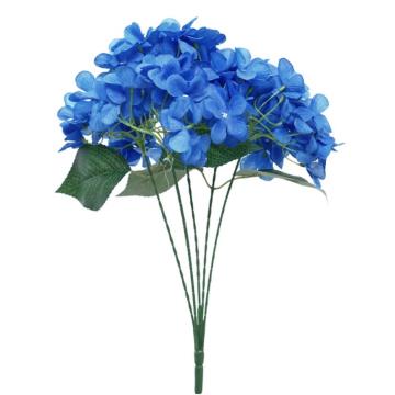 Hortensia Biru Tua K5