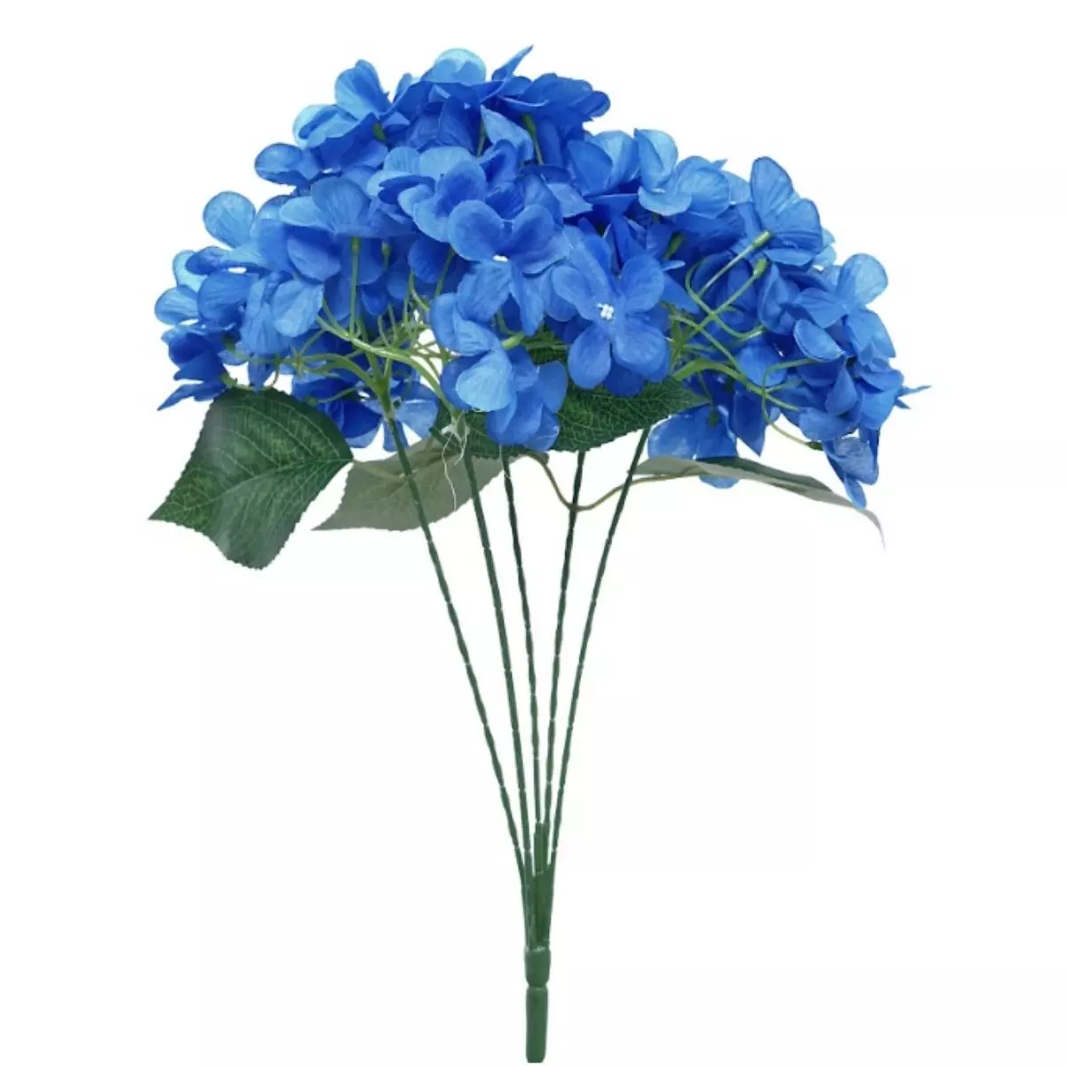 Hortensia Biru Tua K5