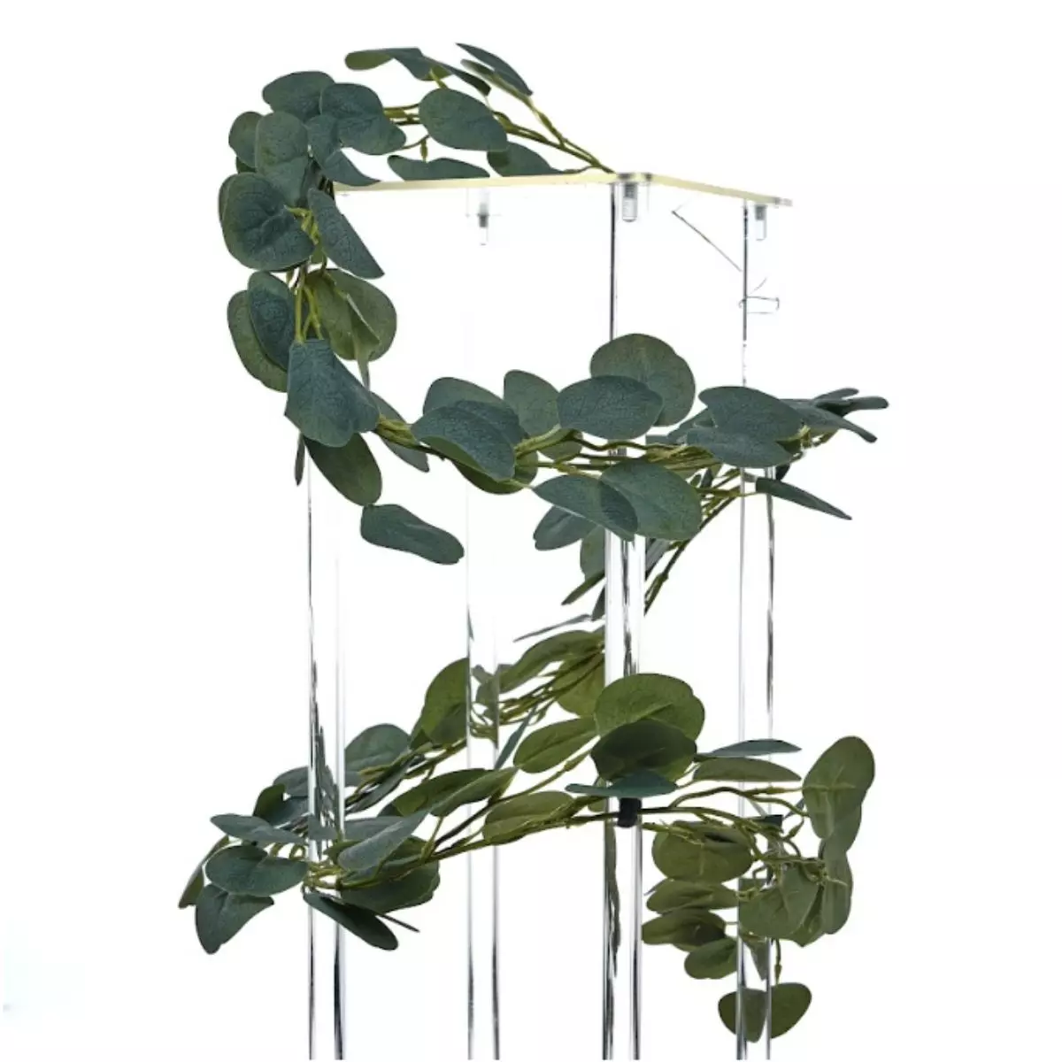 Daun Juntai Bayam Tanpa Willow