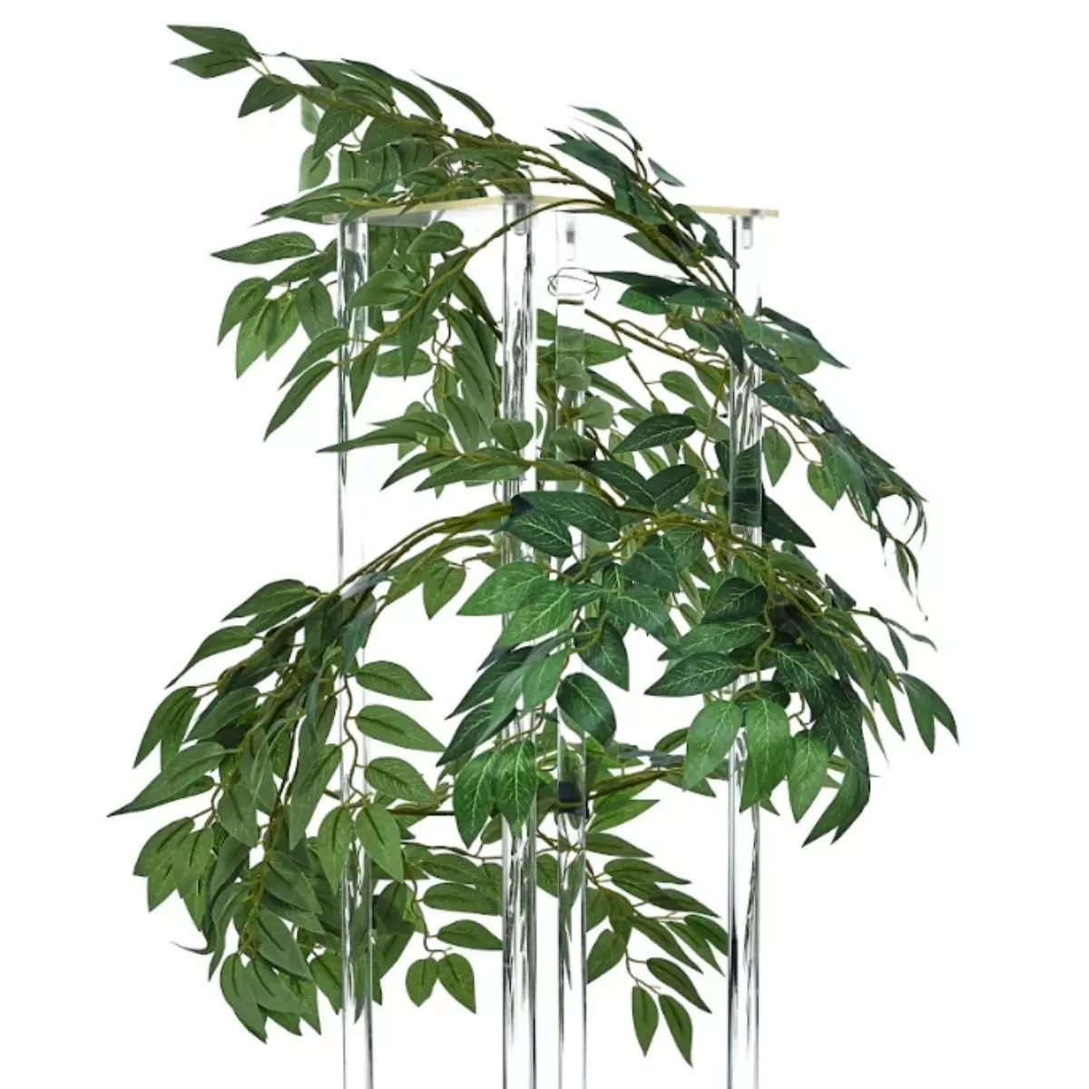 Daun Willow Liang Liu